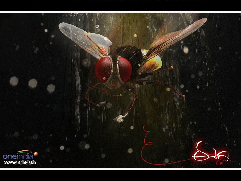 Eega Movie HD Wallpaper. Eega HD Movie Wallpaper Free Download (1080p to 2K)