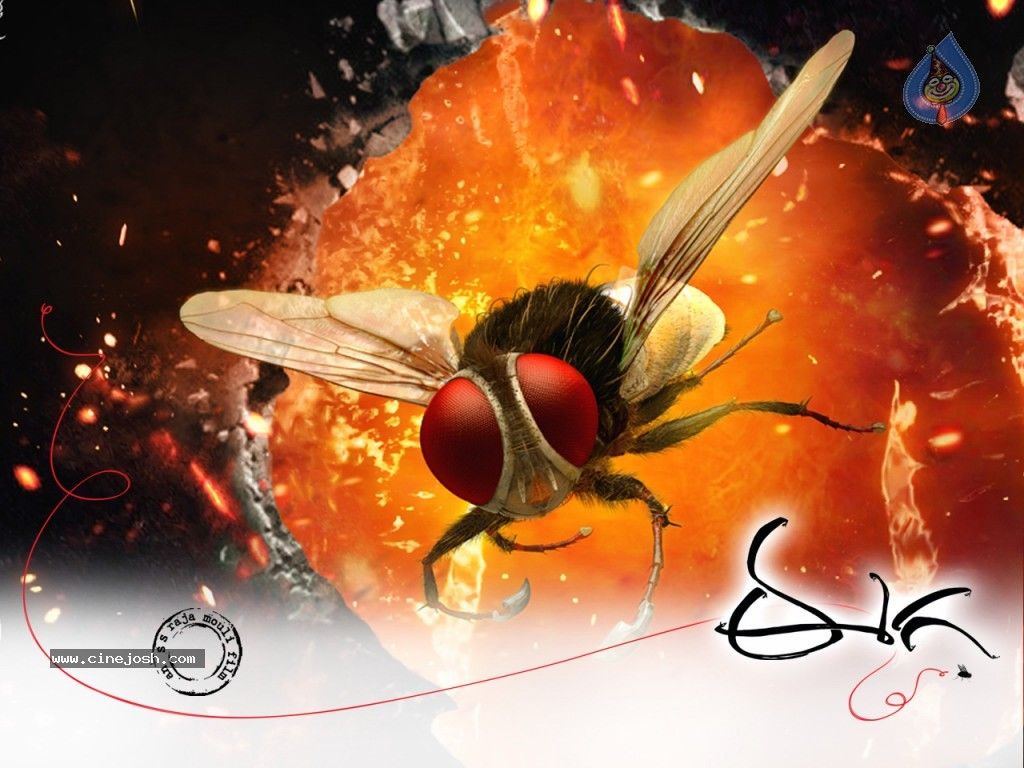 Eega Movie Wallpaper 14 of 14