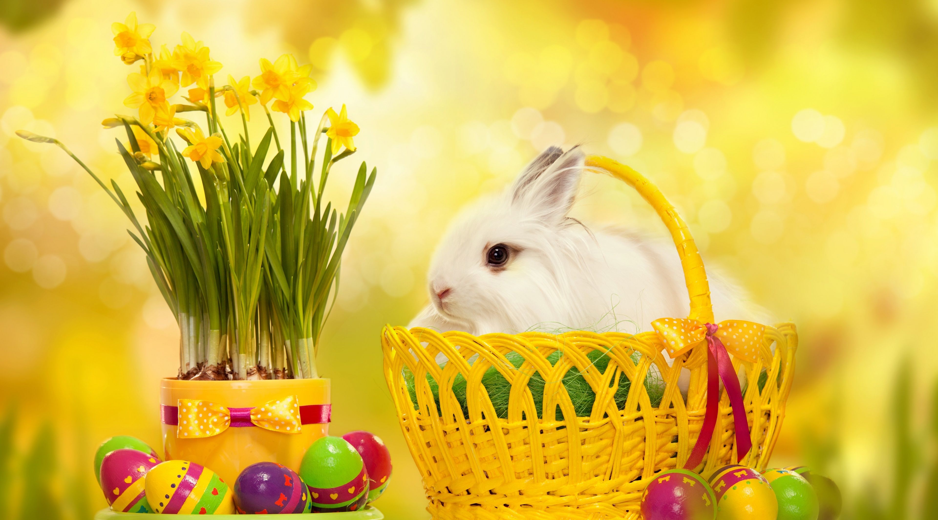 Cute Easter Wallpaper HD For 2015 And 4K Wallpaper Collections