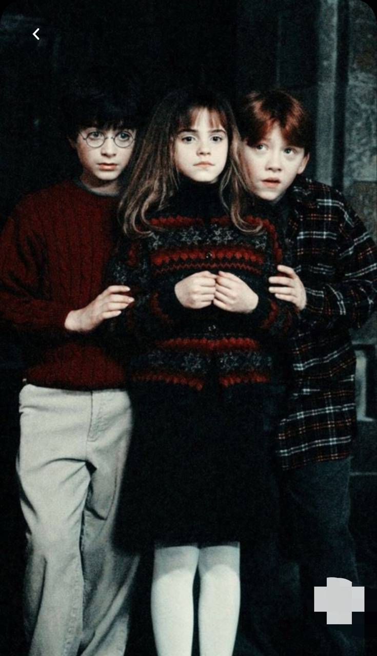 Golden Trio wallpaper