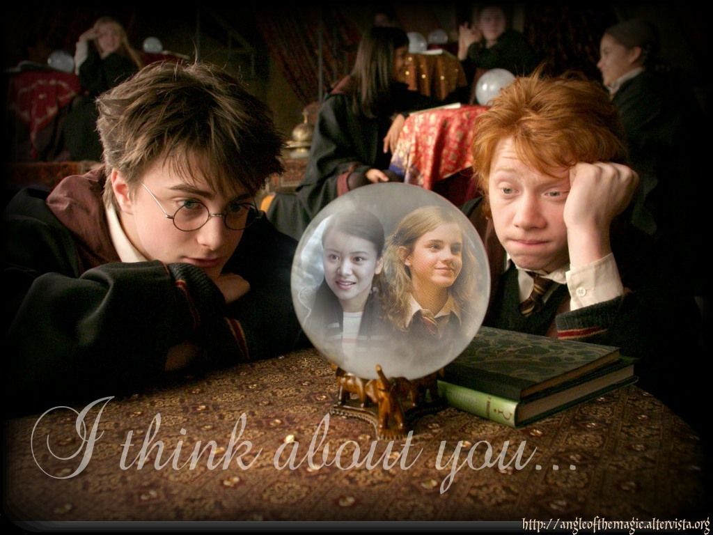 Harry, Ron and Hermione wallpaper, Ron and Hermione Wallpaper