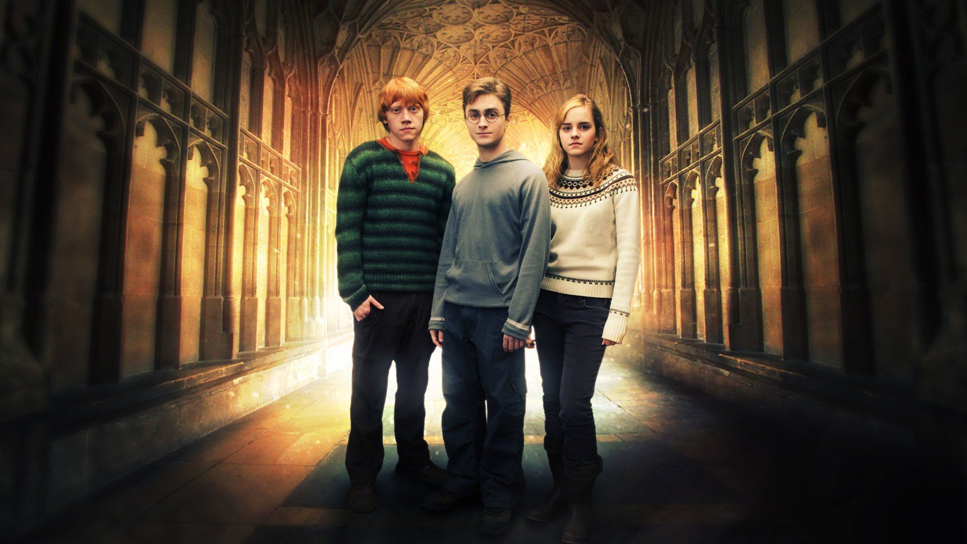 Harry Ron and Hermione Wallpaper