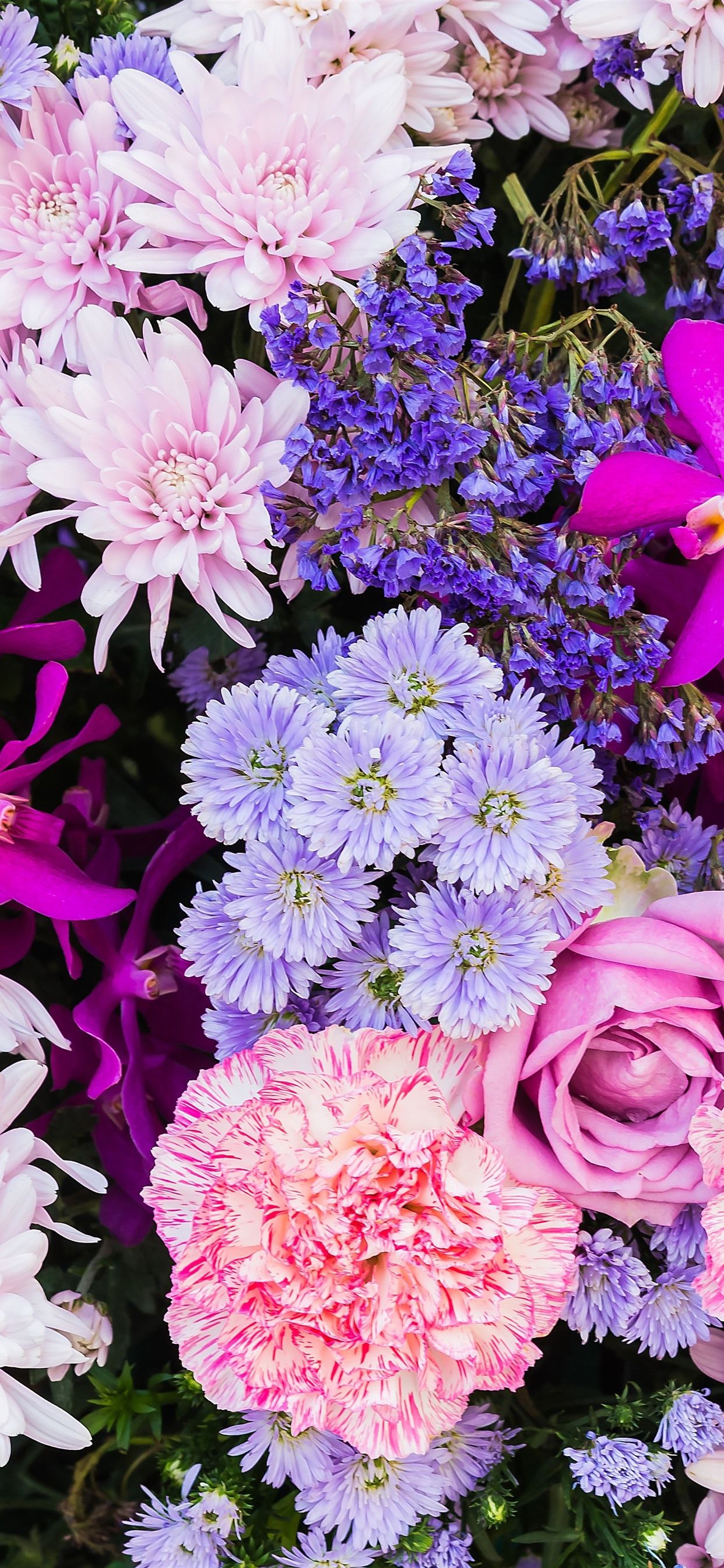 Colorful Flowers, Many Kinds, Petals 1242x2688 IPhone 11 Pro XS Max Wallpaper, Background, Picture, Image