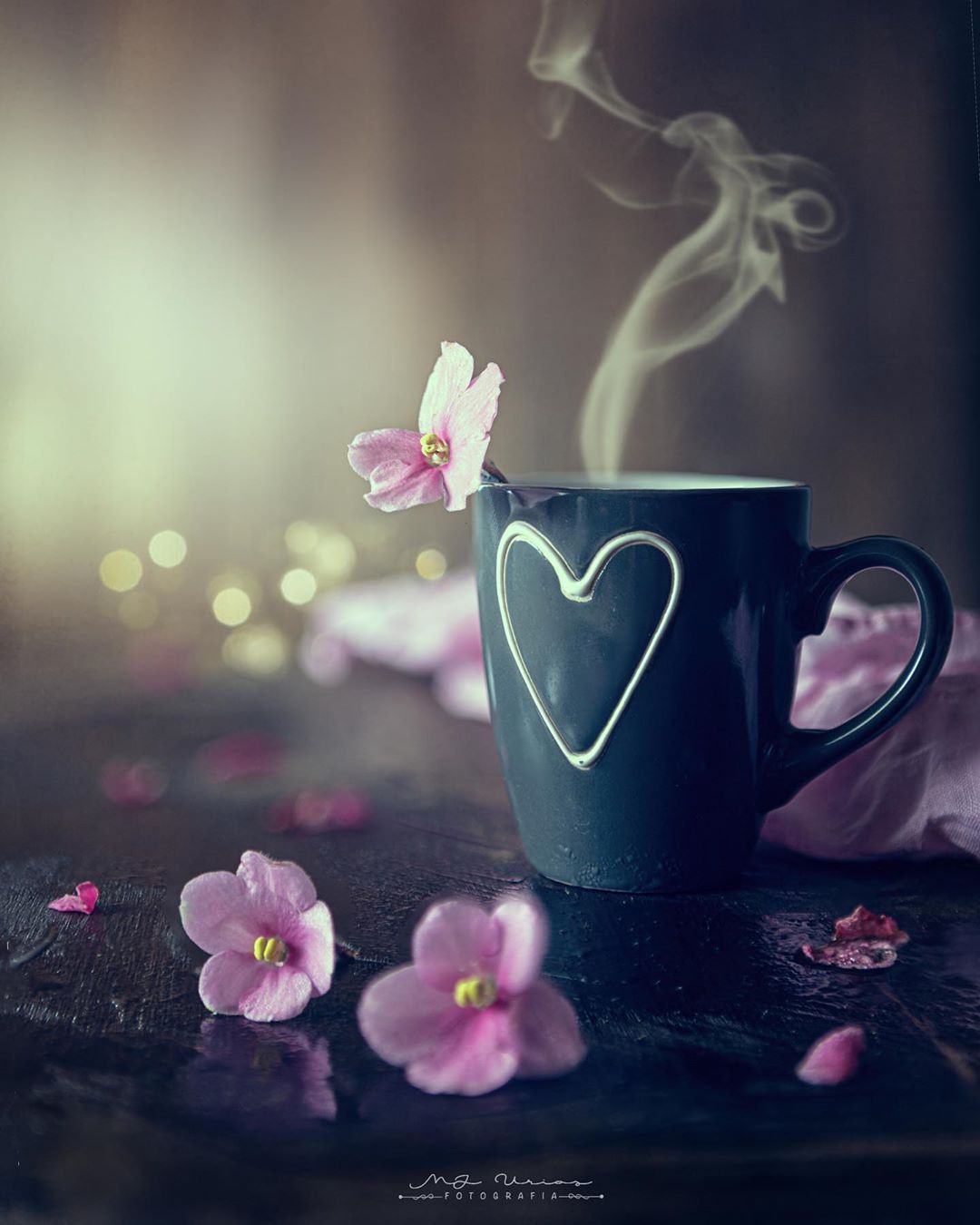 Maria Jose Urios on Instagram: ““My cup of coffee” - - - - - - #stilllife #dark_macro_ar. Coffee flower, Coffee wallpaper iphone, Flower phone wallpaper