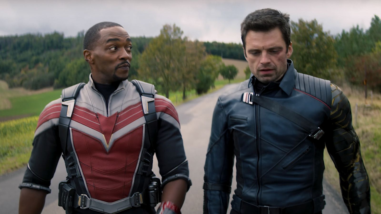 Small Details You Missed In The Falcon And The Winter Soldier Trailer