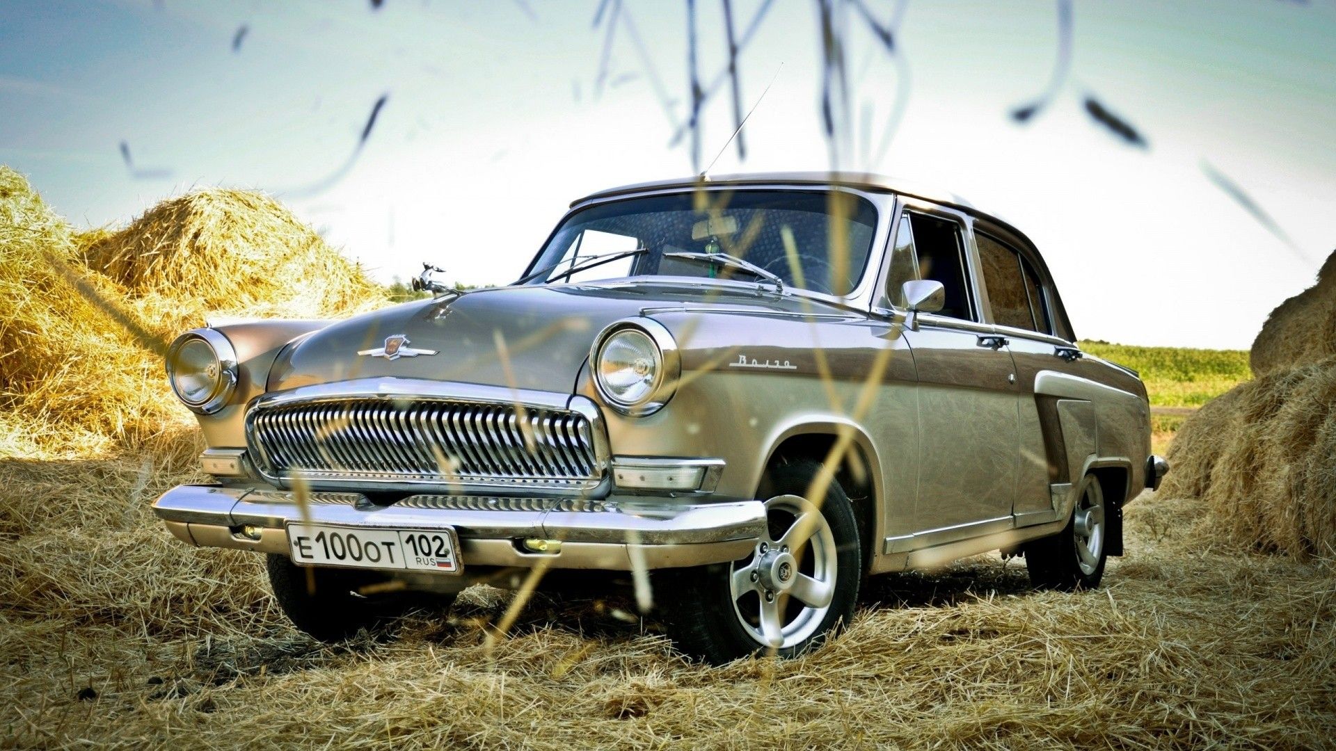 Wallpaper, depth of field, nature, straw, Russian cars, Vintage car, Volga, GAZ 21, classic car, Sedan, land vehicle, automotive design, automotive exterior, automobile make, luxury vehicle, compact car, motor vehicle, antique