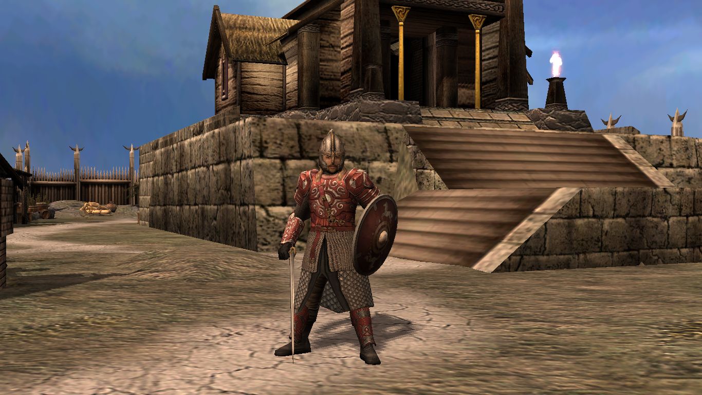 Éomer. Age of the Ring Mod