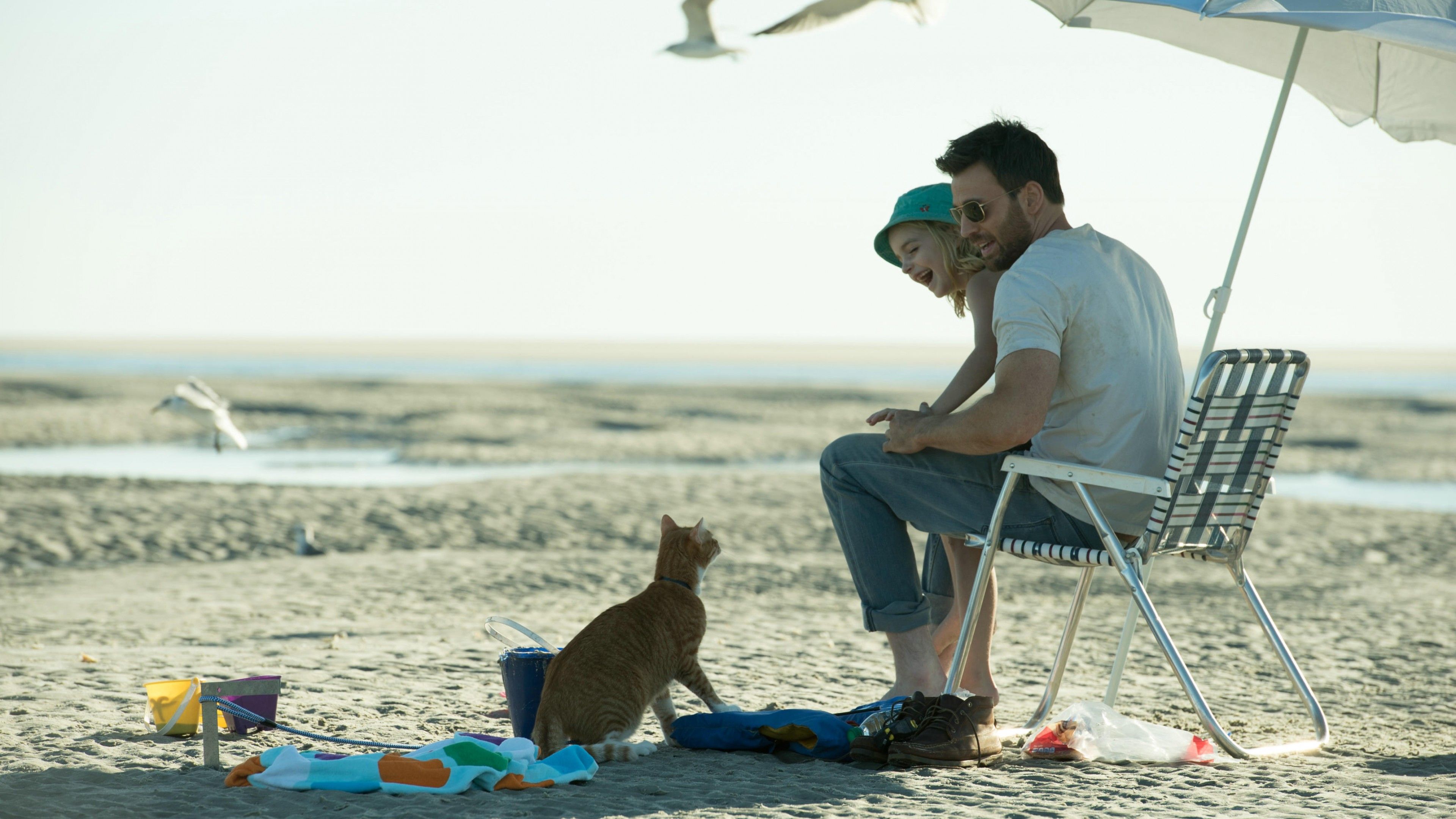 Wallpaper Gifted, Mckenna Grace, Chris Evans, best movies, Movies