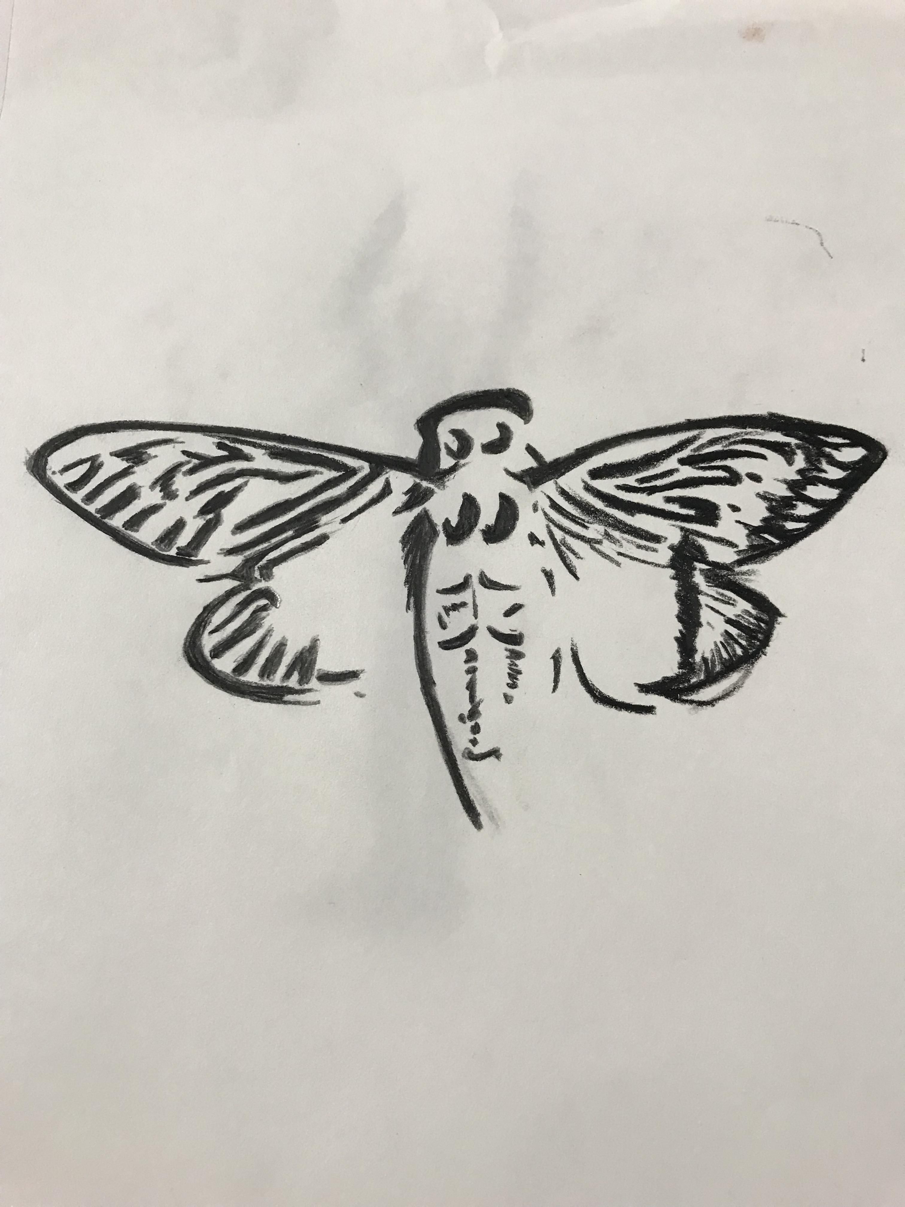 Cicada 3301. Cicada tattoo, Psychedelic illustration, Art