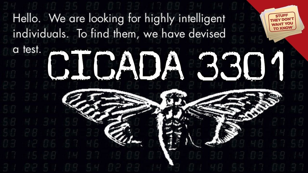 Facts About Cicada A Mysterious Internet Puzzle