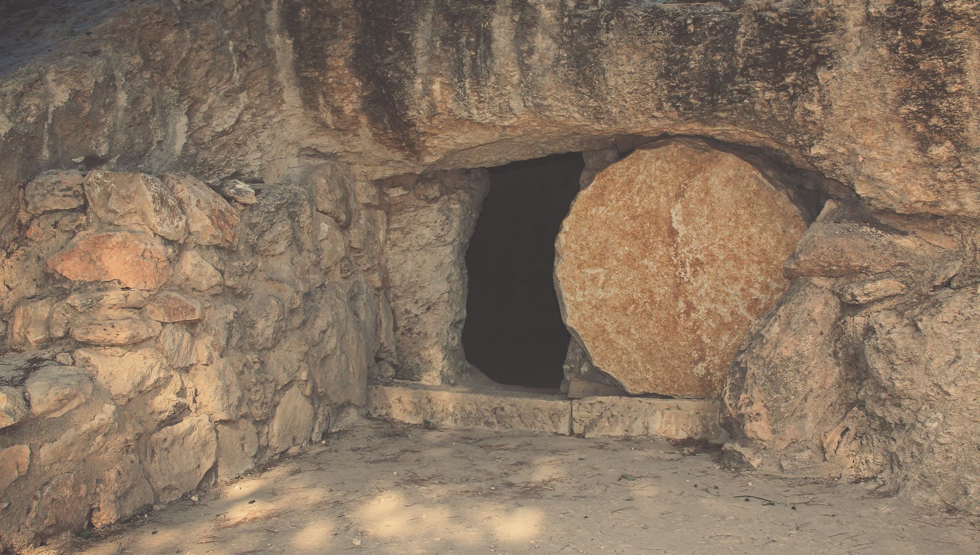 Sealing the Tomb of Jesus Tree Blog