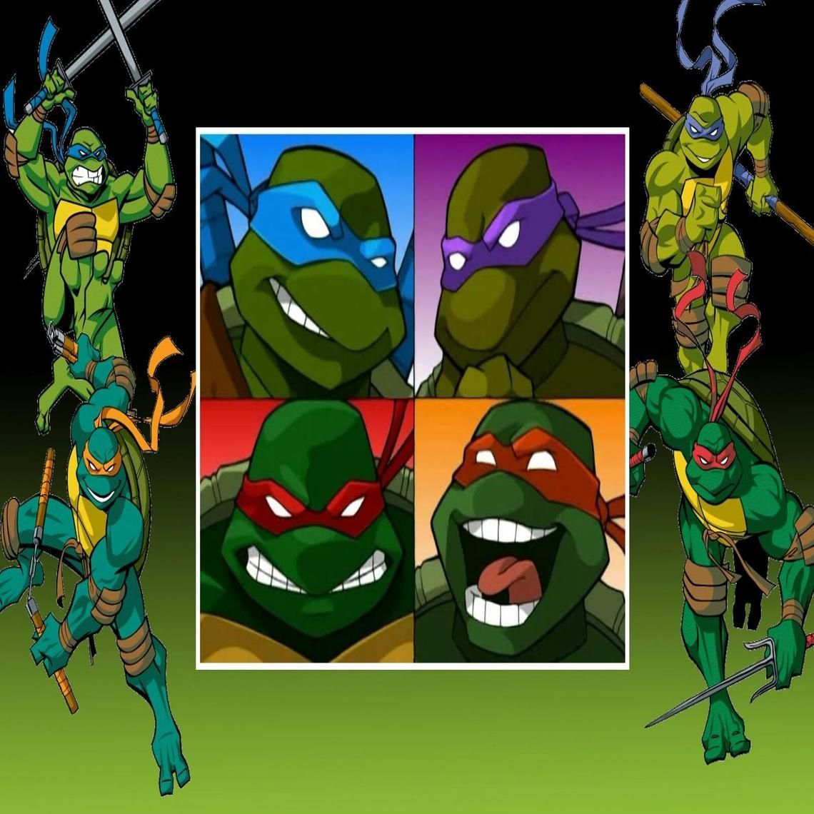 TMNT 2003. Tmnt, Teenage mutant ninja turtles, Ninja turtles
