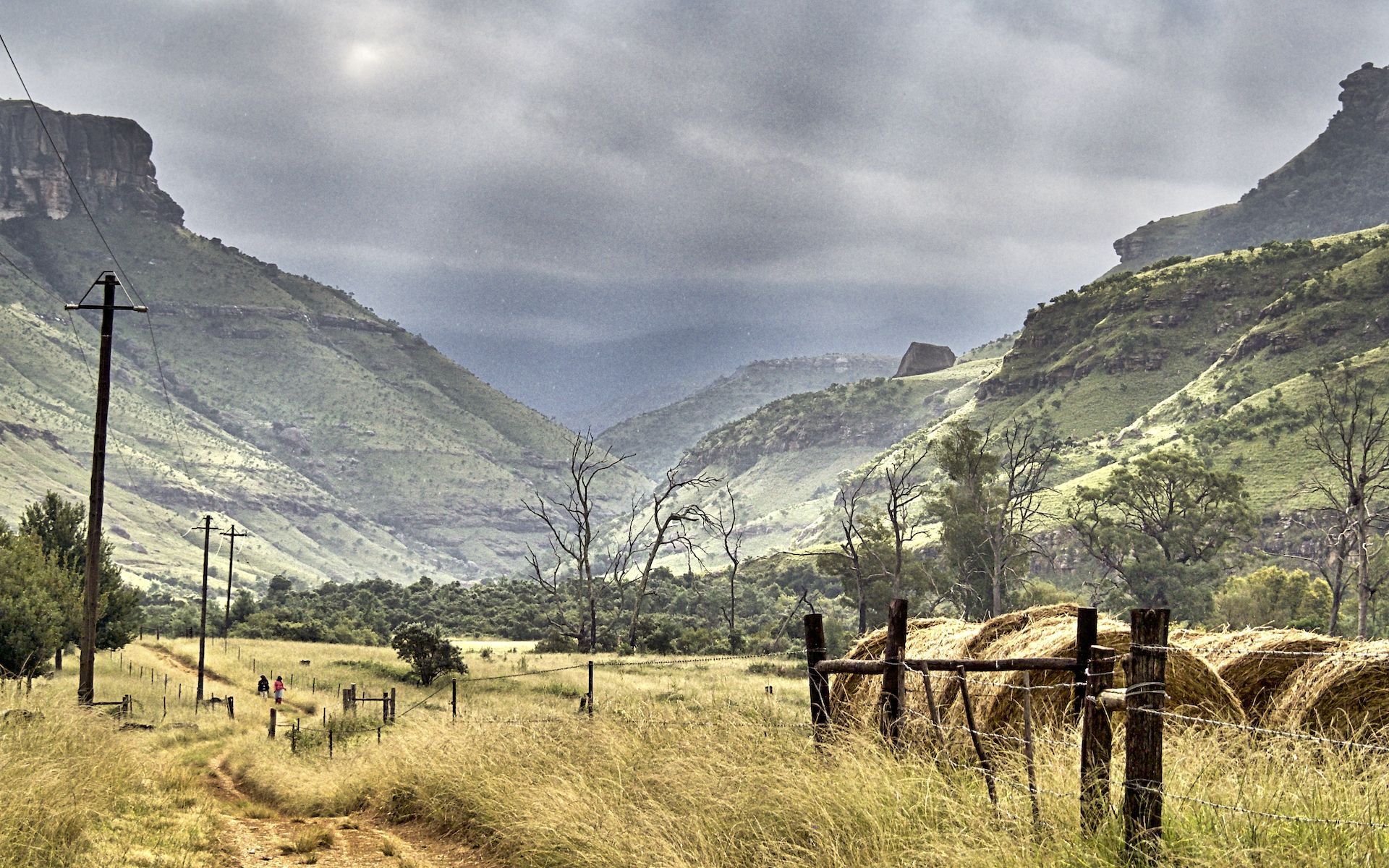 Desktop Wallpaper: 12 Free Downloads