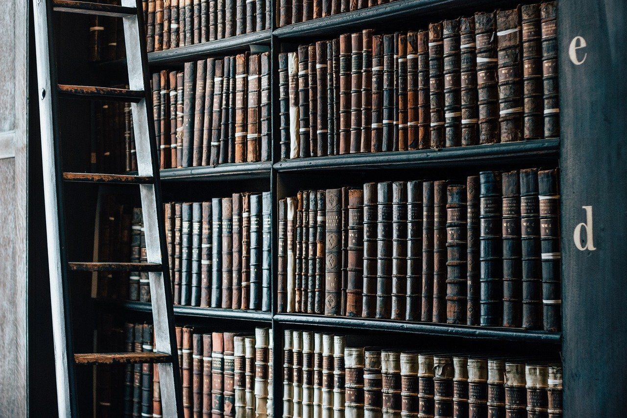 Bookshelf Old Library