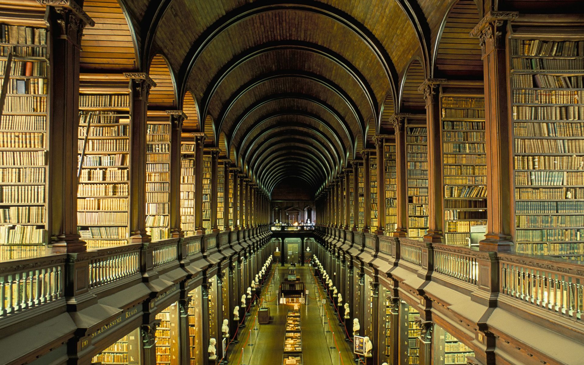 Gallery of the Old Library at Trinity College in Dublin, Ireland. Trinity college library, Old libraries, Beautiful library