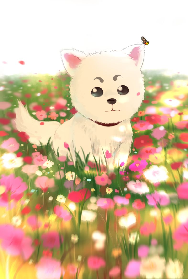 Sadaharu Anime Image Board