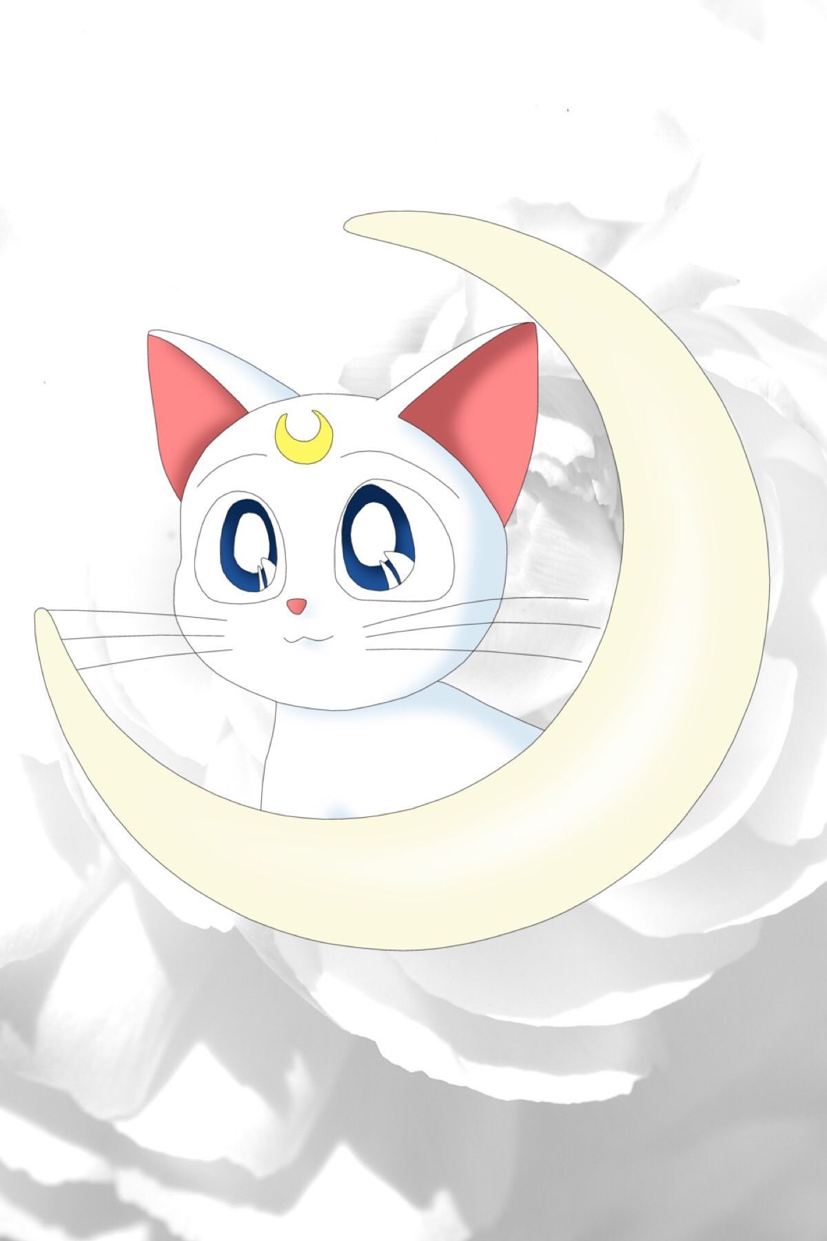 Sailor Moon Artemis Wallpaper Free Sailor Moon Artemis Background
