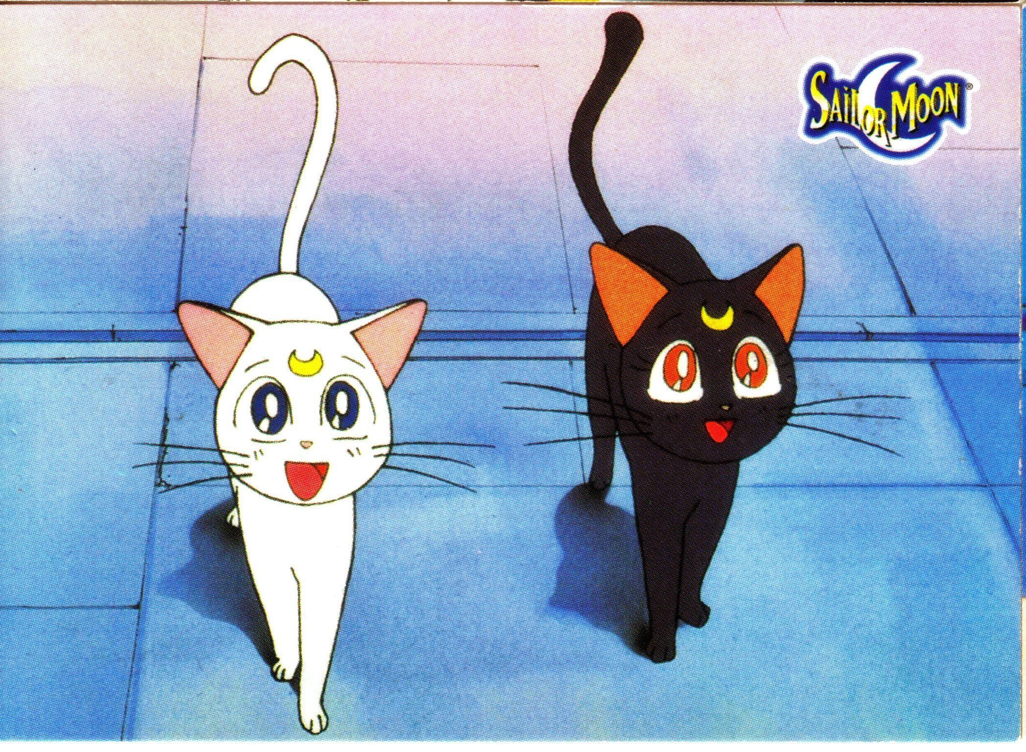 Sailor Moon Cat Wallpapers Wallpaper Cave 