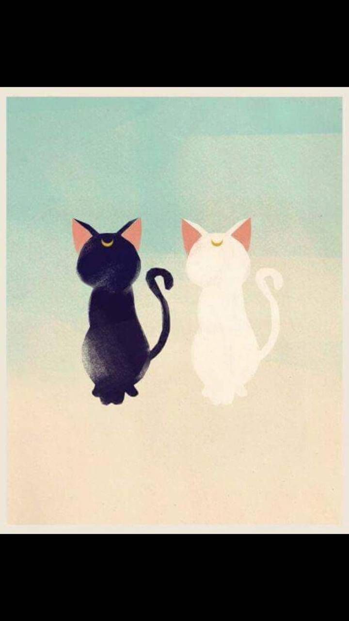 Sailor Moon Cat Wallpapers - Wallpaper Cave