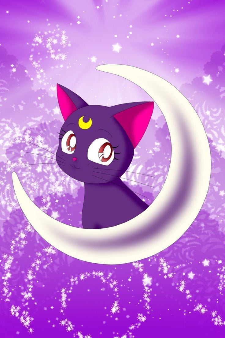 Sailor Moon Cat Wallpaper