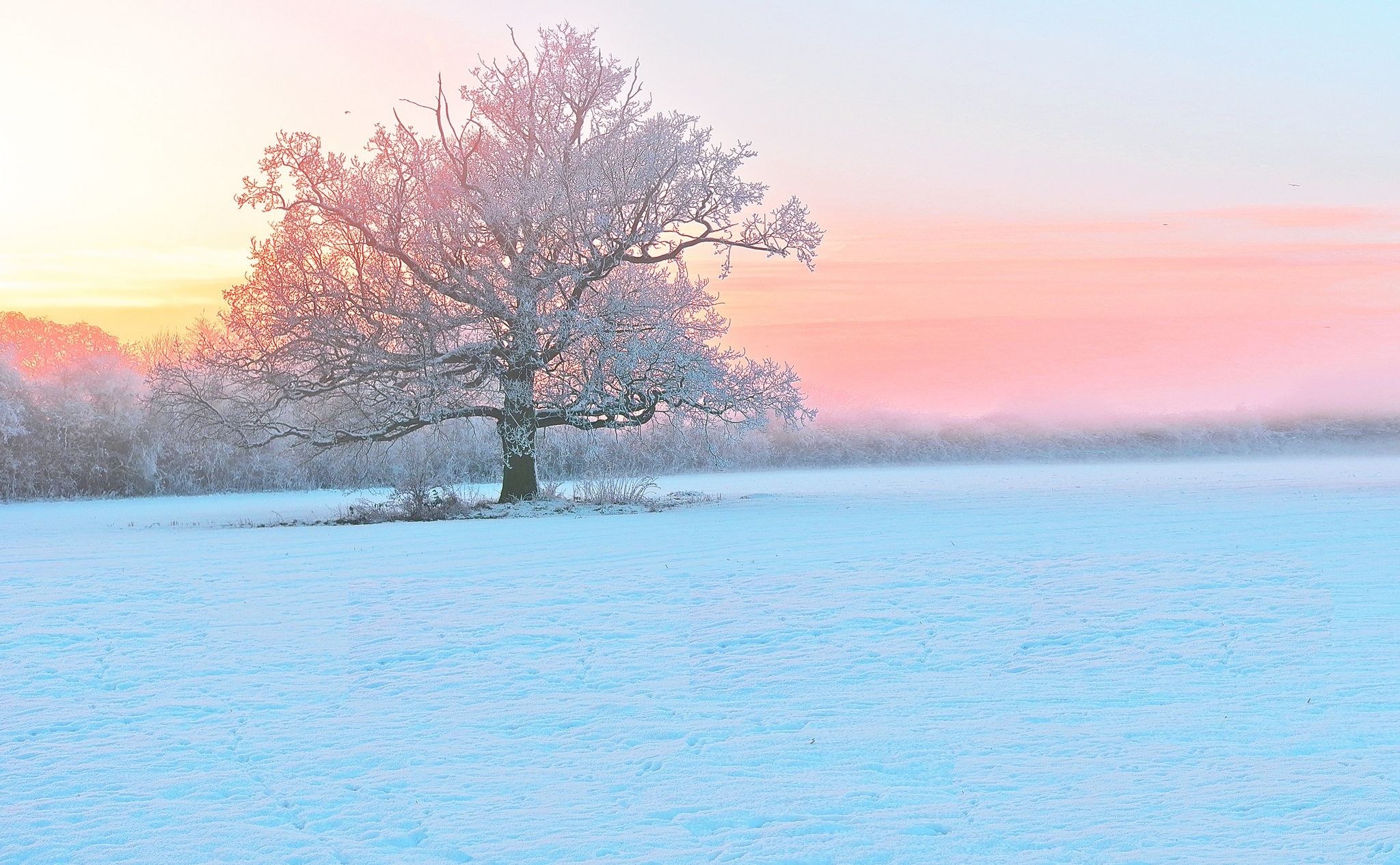 Snowy Winter Sunset