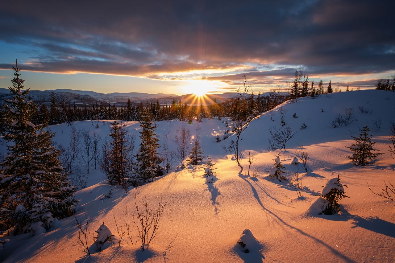 Desktop Wallpaper Rays of light Winter Spruce Nature Snow sunrise