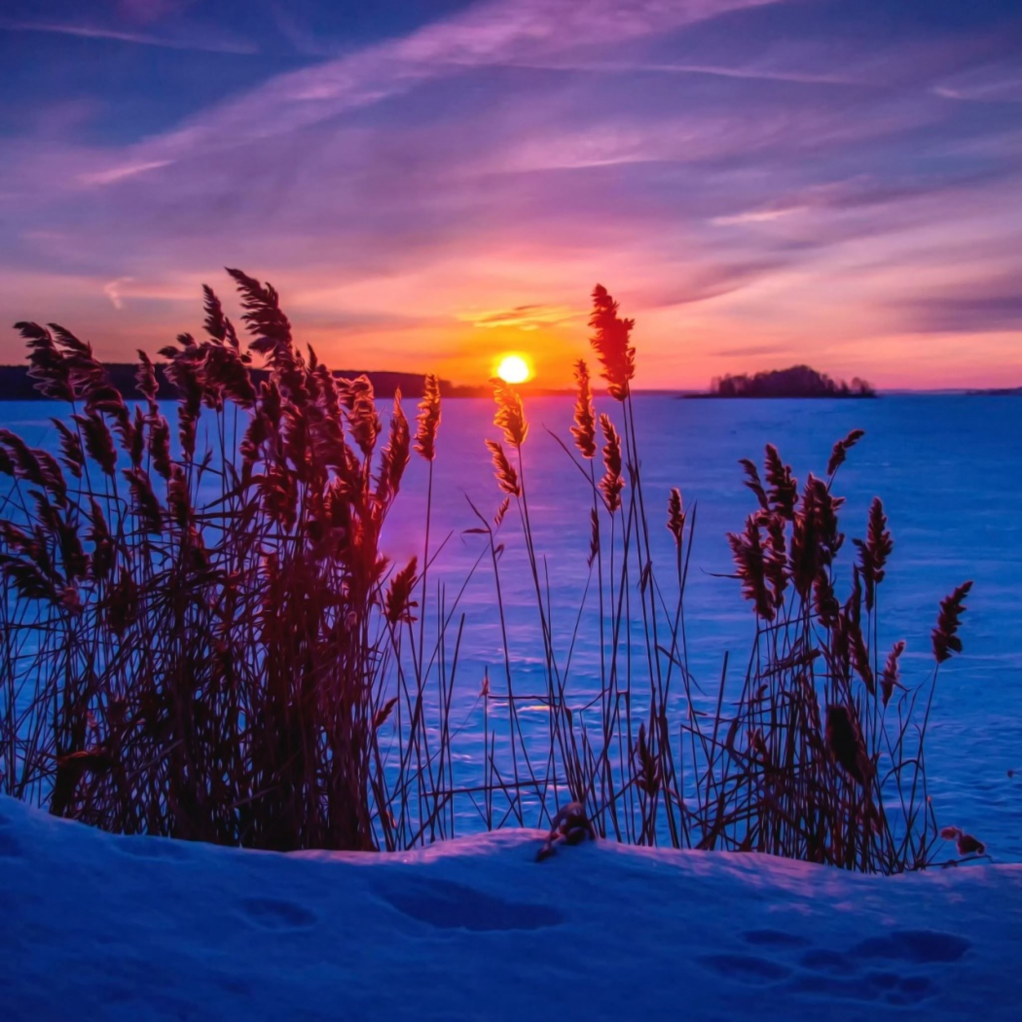 Winter sunset snow grass iPad Air Wallpaper Free Download