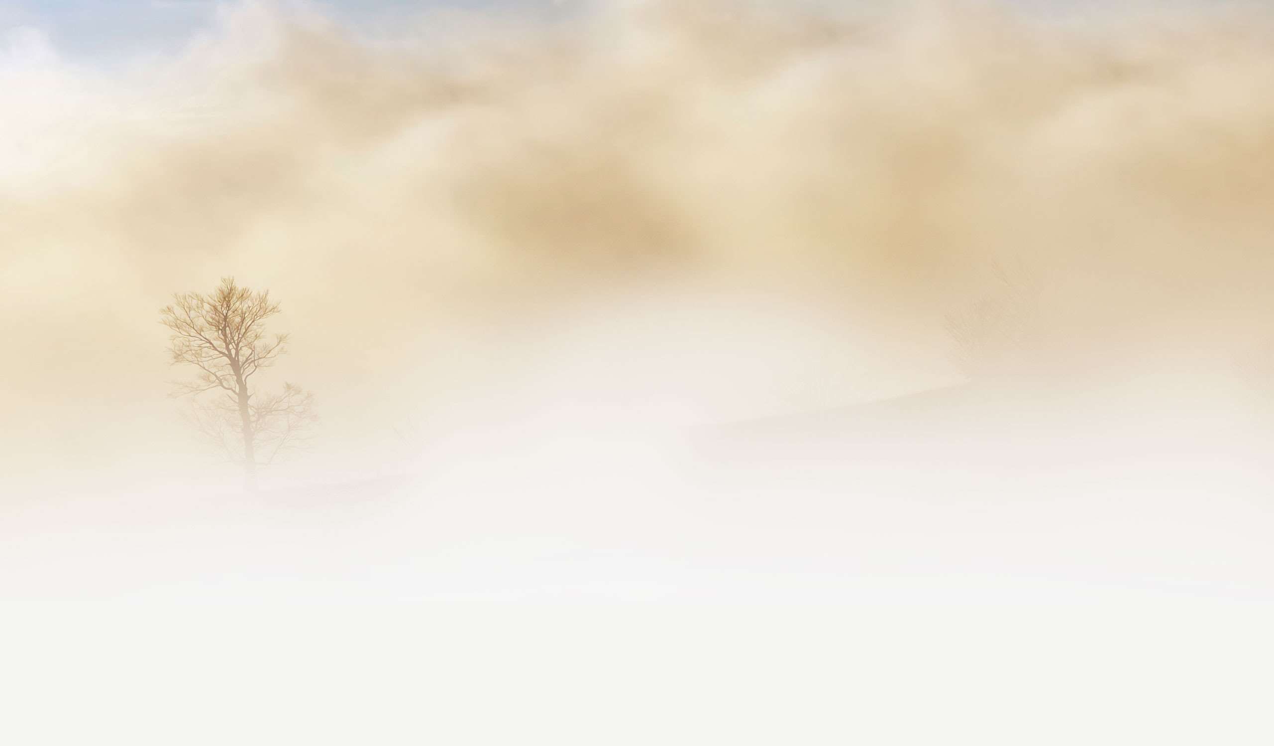 sand storm HD wallpaper, Background