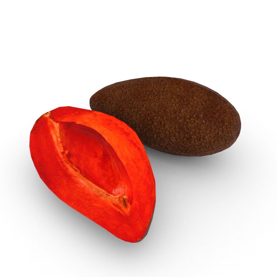 Mamey (Pouteria sapota) 3D Model $28 - .obj .max .fbx .dae .c4d .blend