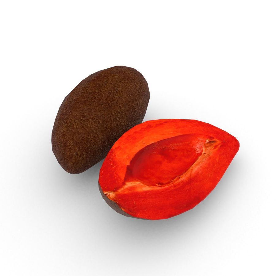 Mamey (Pouteria sapota) 3D Model $28 - .obj .max .fbx .dae .c4d .blend
