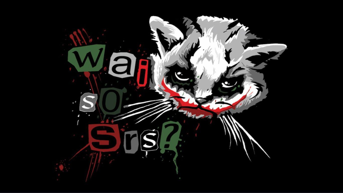 Funny cat Joker Desktop wallpaper 1366x768
