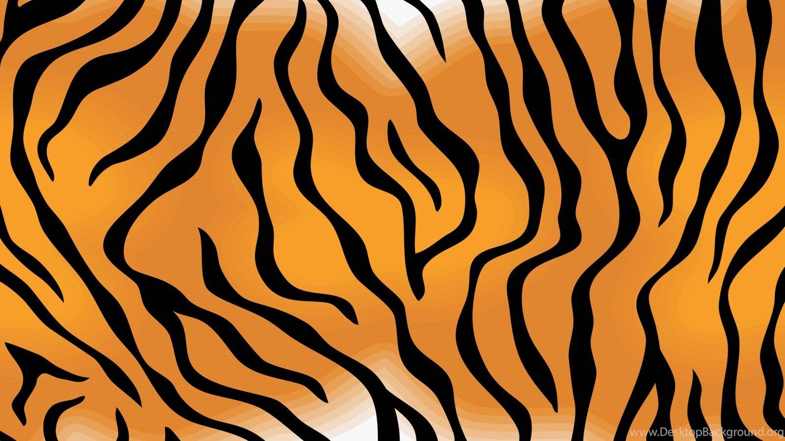 Tiger Skin Wallpaper Free Tiger Skin Background