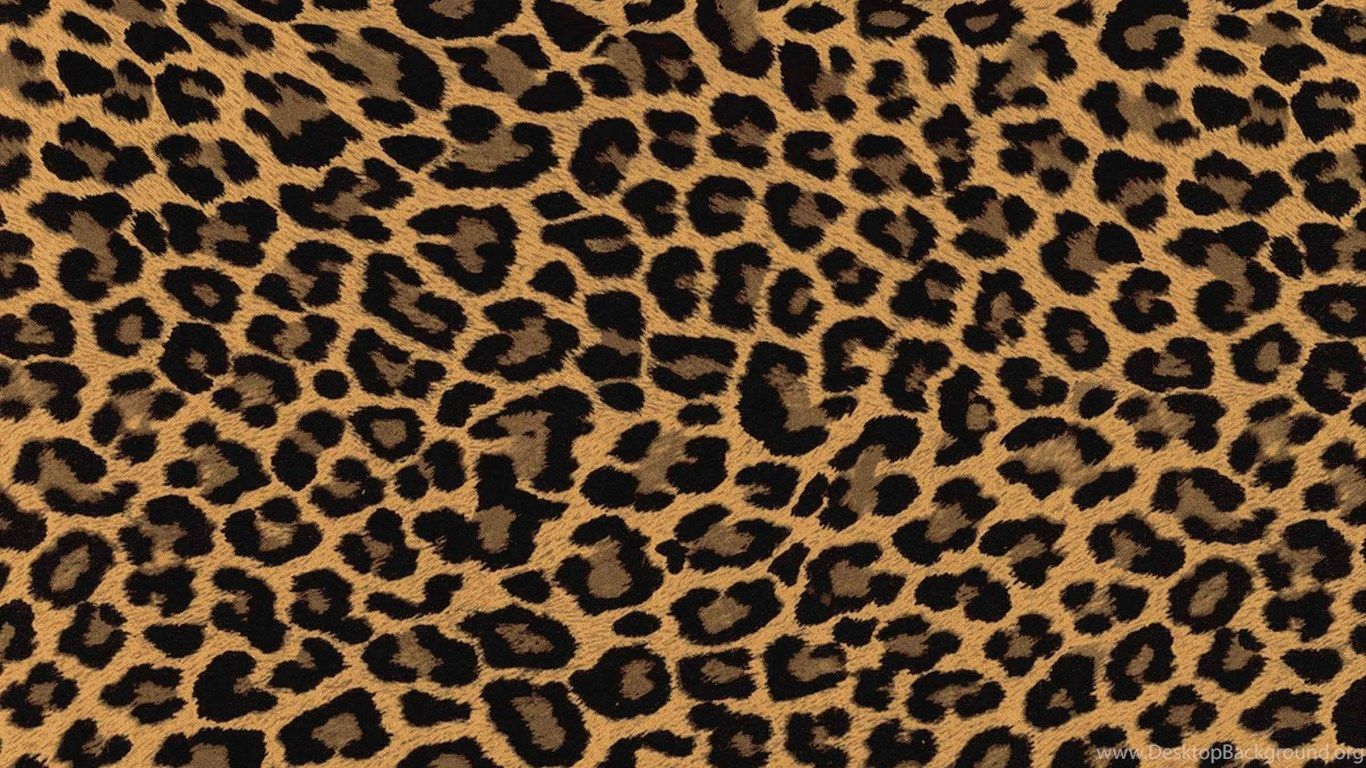 Tiger Skin Wallpaper Free Tiger Skin Background