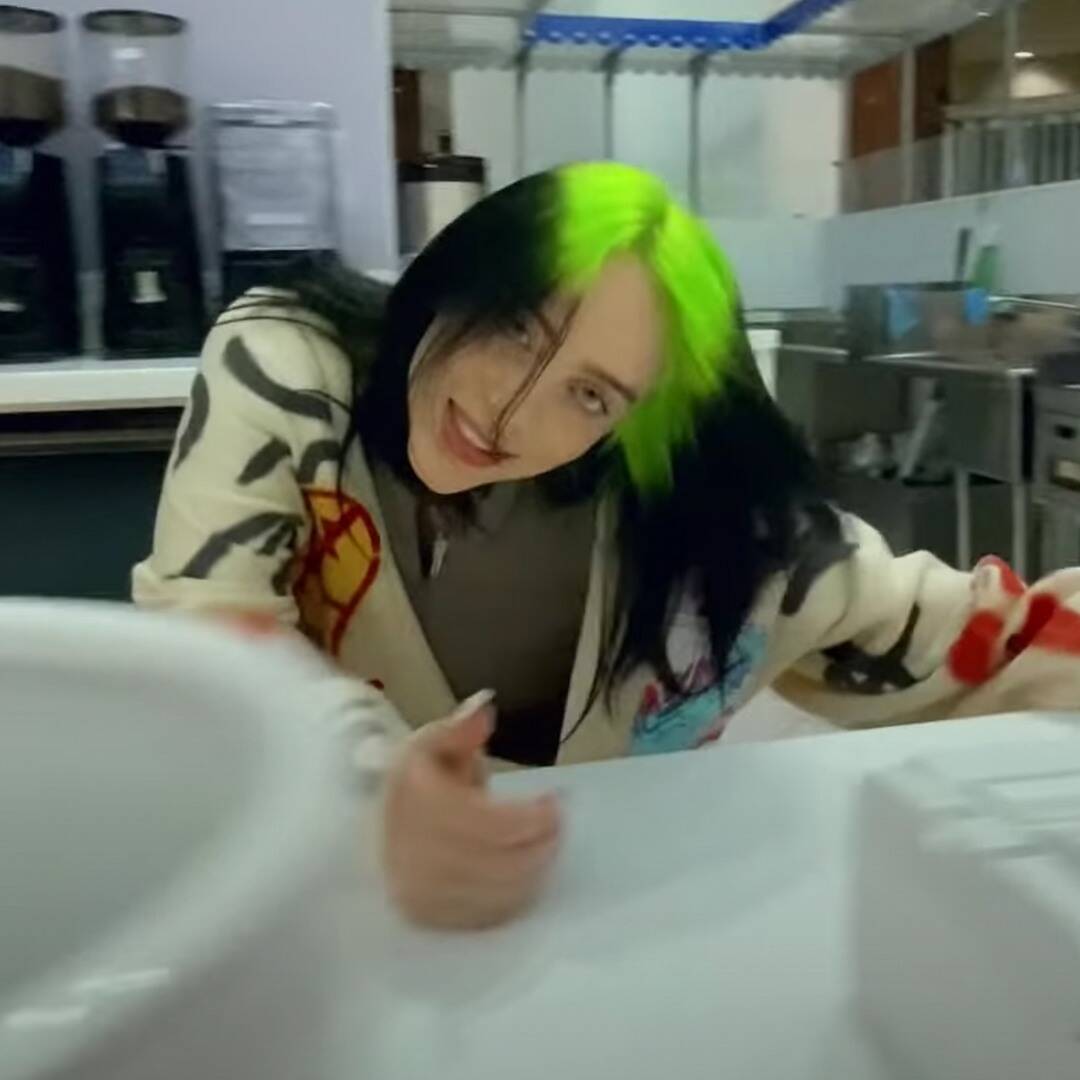 Billie Eilish Fans Think Therefore I Am Video Is a Message to Haters! Online