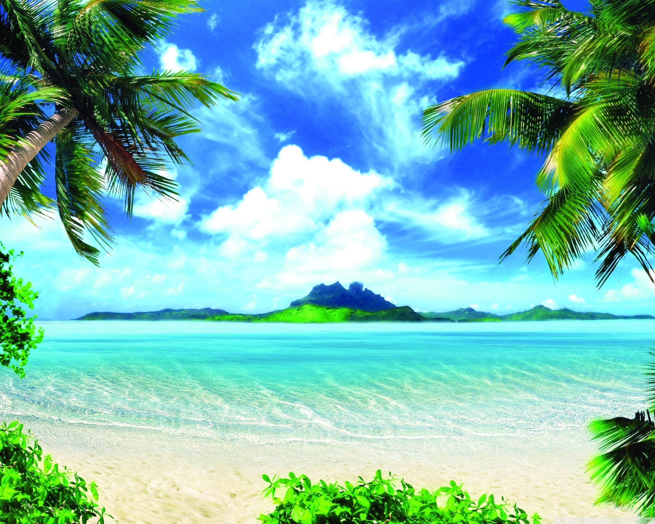 Summer Vacation Ultra HD Desktop Background Wallpaper for 4K UHD TV, Widescreen & UltraWide Desktop & Laptop, Tablet