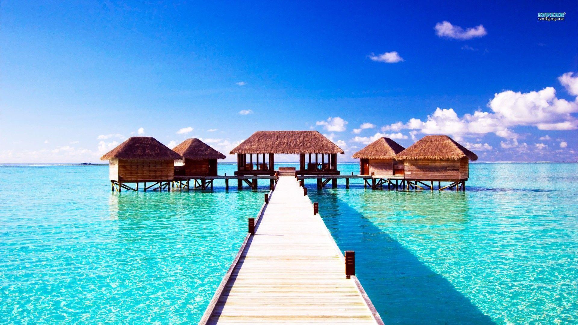 Summer Computer Wallpaper
