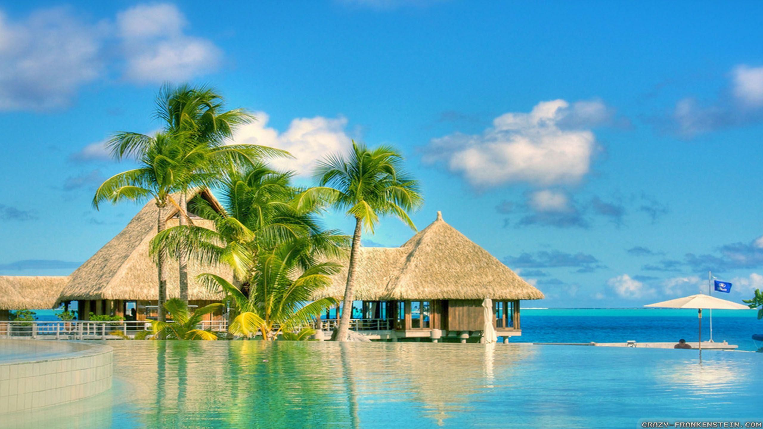 PC Wallpaper Nature Picture of Summer