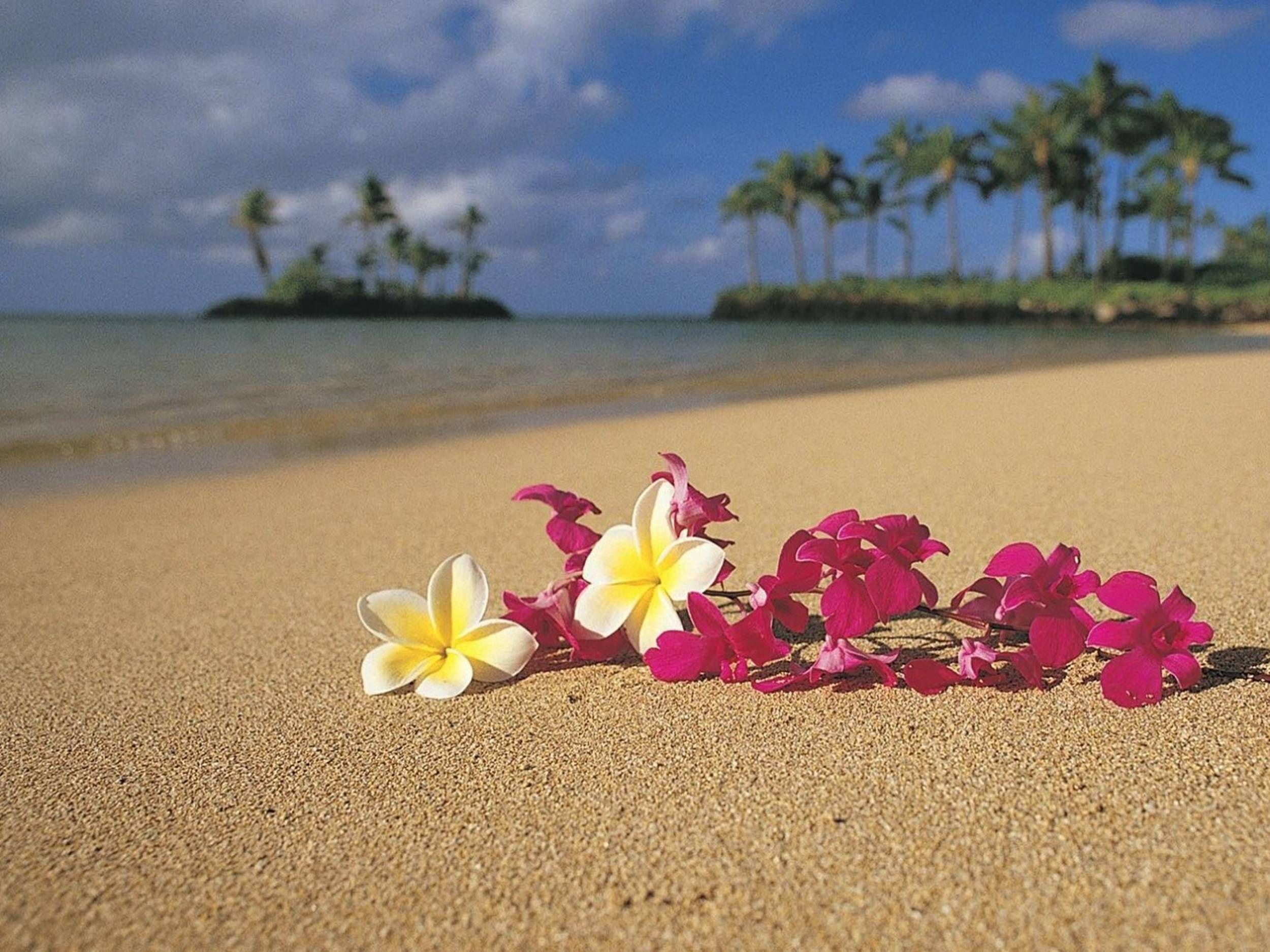 Beach Wallpaper Hawaii Flowers
