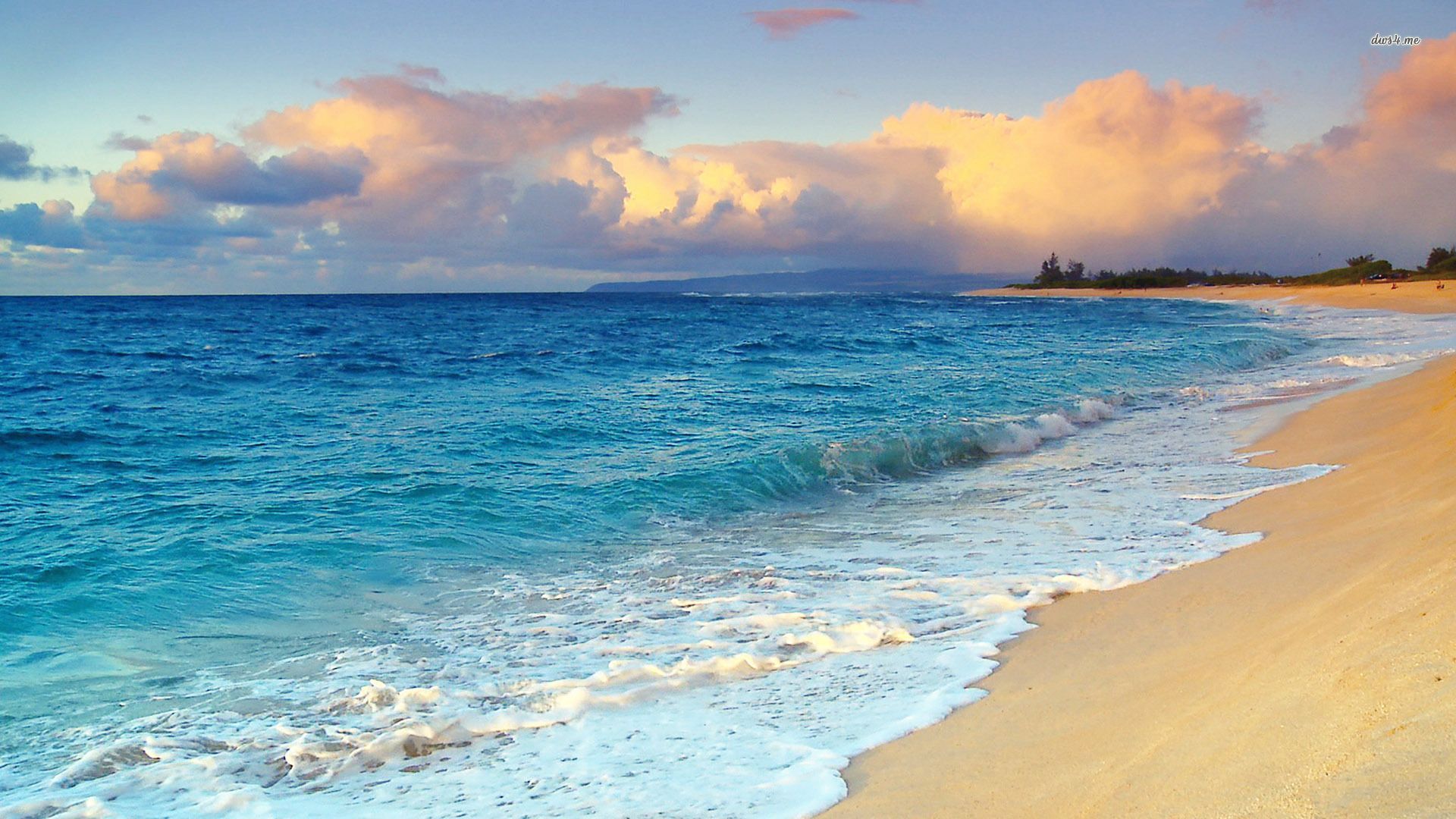 Hawaii Beach iPhone Wallpapers Free Download