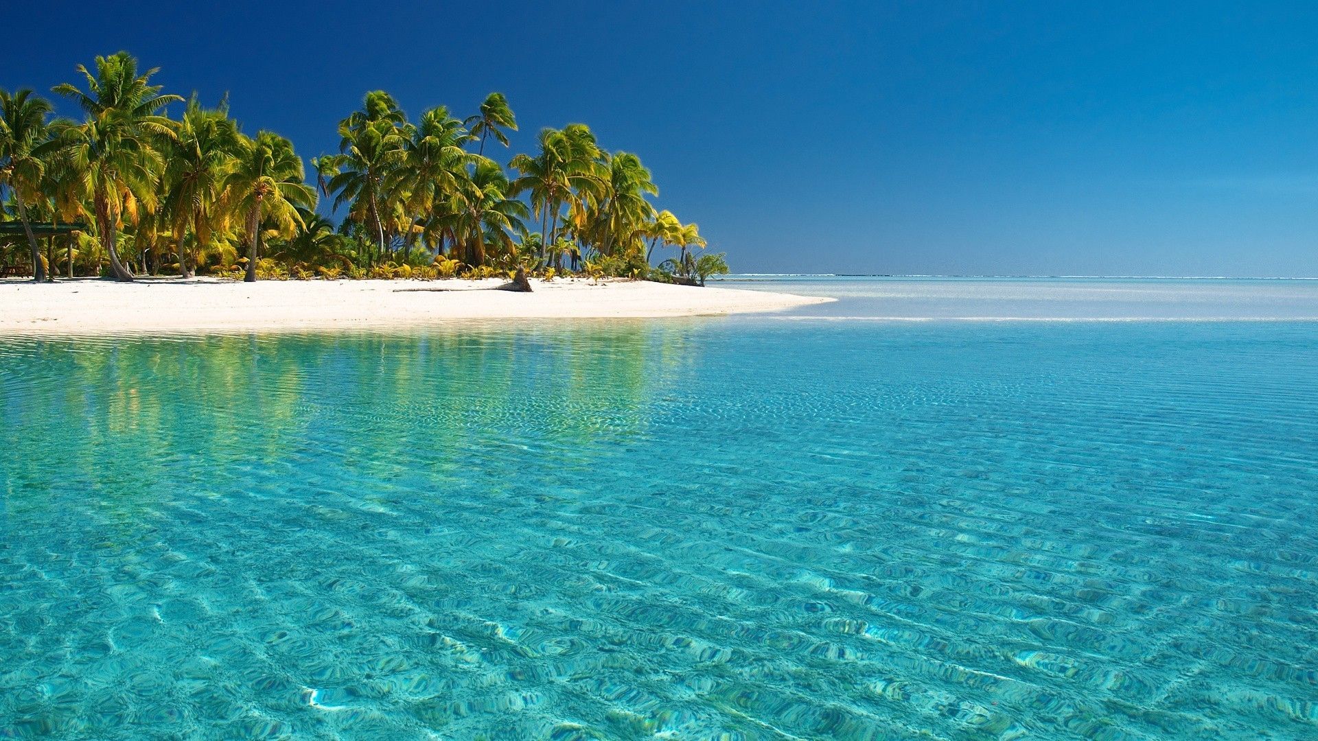 Summer Wallpaper for Desktop background picture