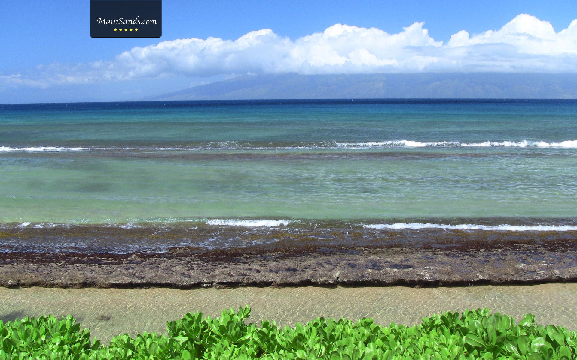 Hawaii Wallpaper from Maui Sands
