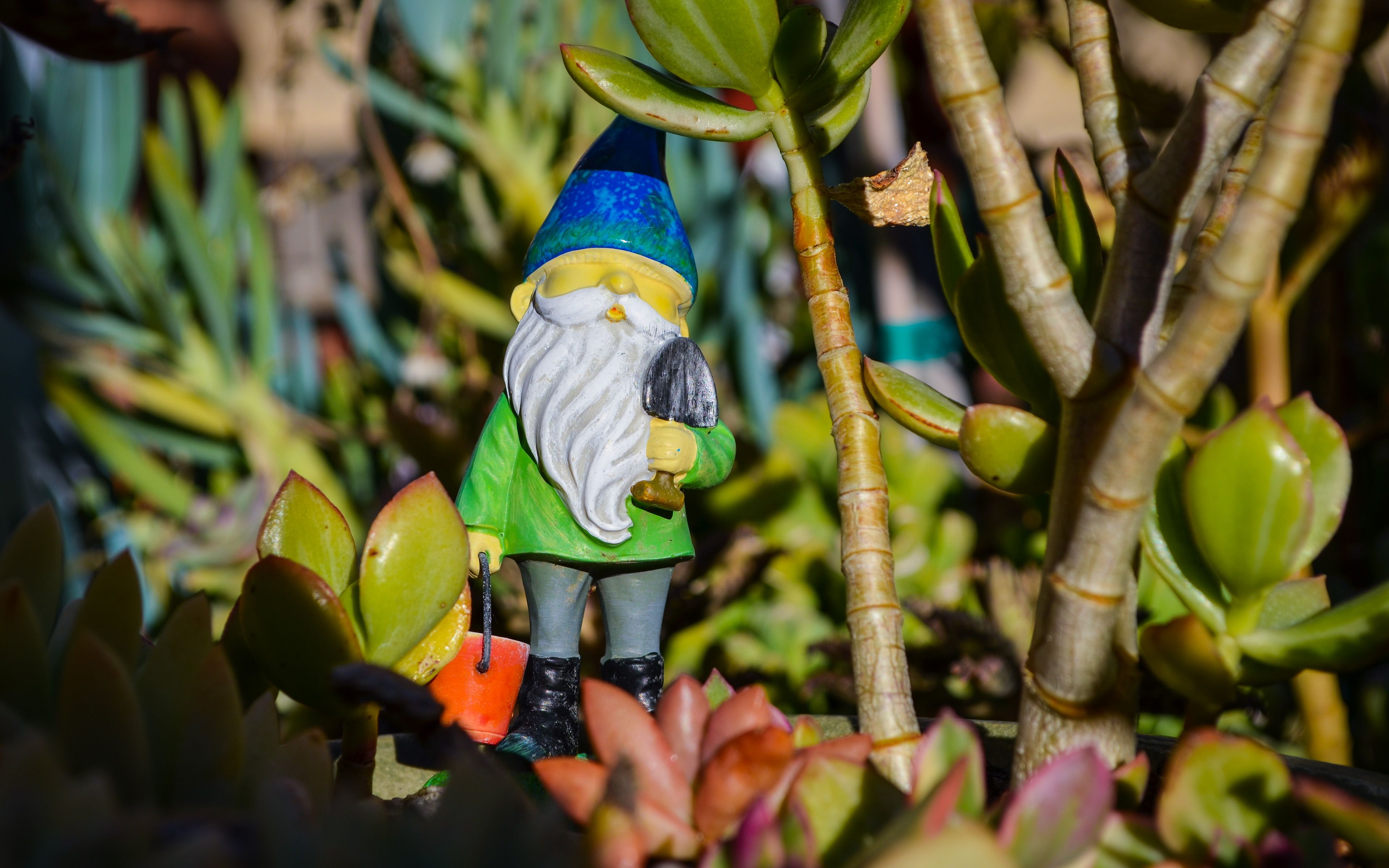 Spring Gnomes Wallpapers - Wallpaper Cave