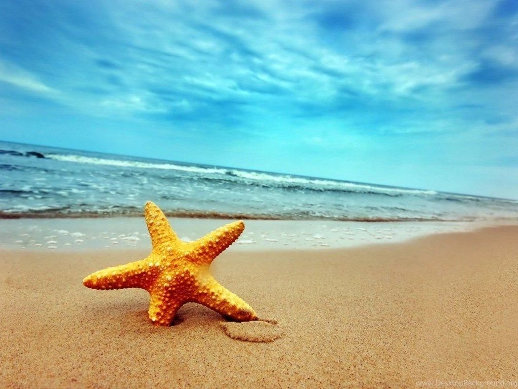 Beach Summer HD Wallpaper Desktop PC Desktop Background