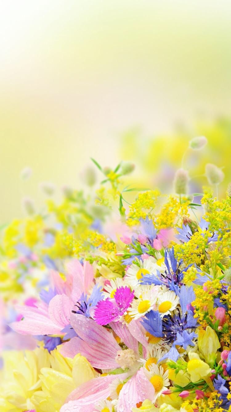 Downloaded From Girly Wallpaper. App Id1108375300. Thousands Of HD Girly Wallpaper Just. Fondos Primaverales, Fondos Para Iphone, Flores