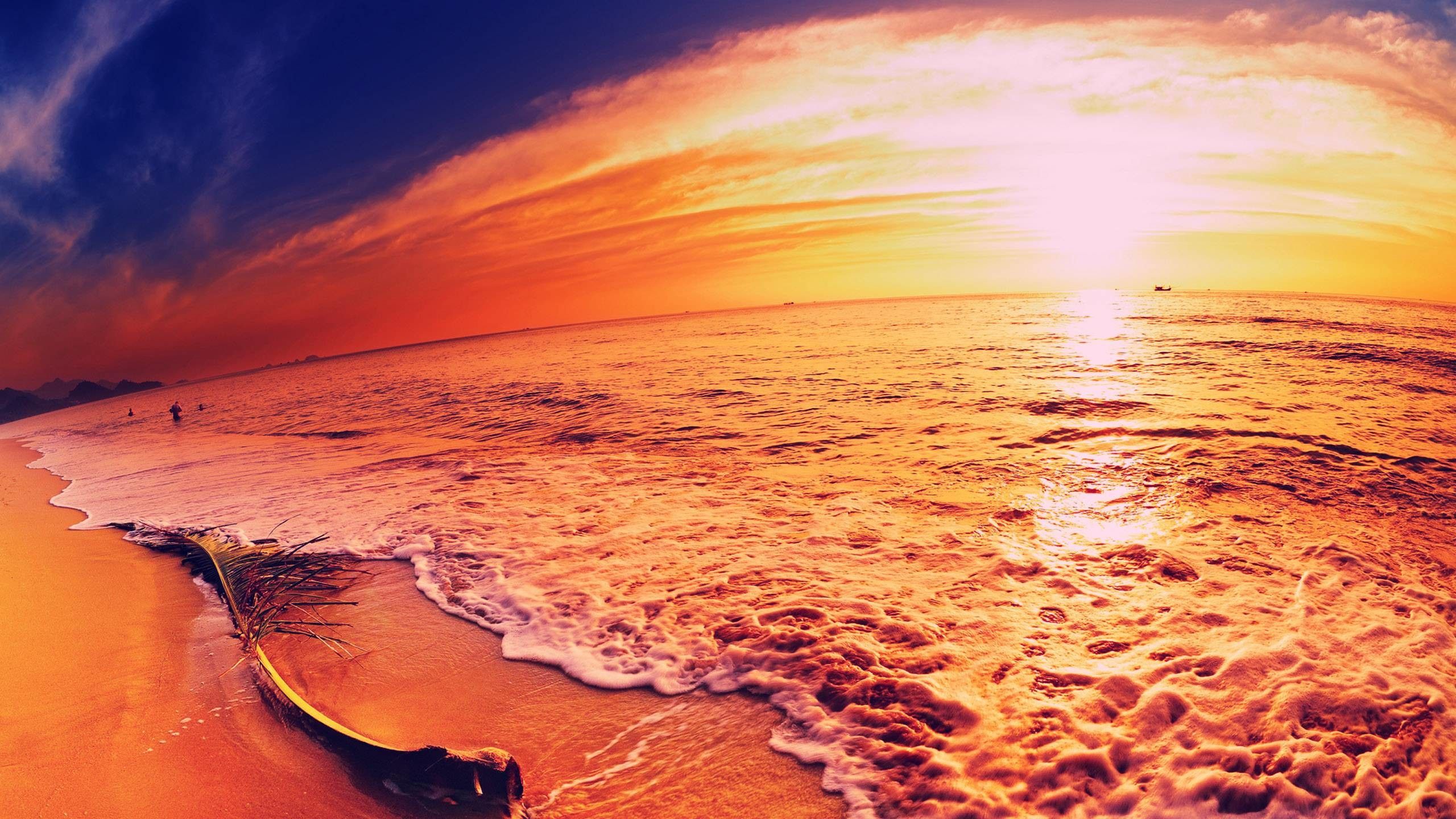 Summer Desktop wallpaper wallpaper Collections