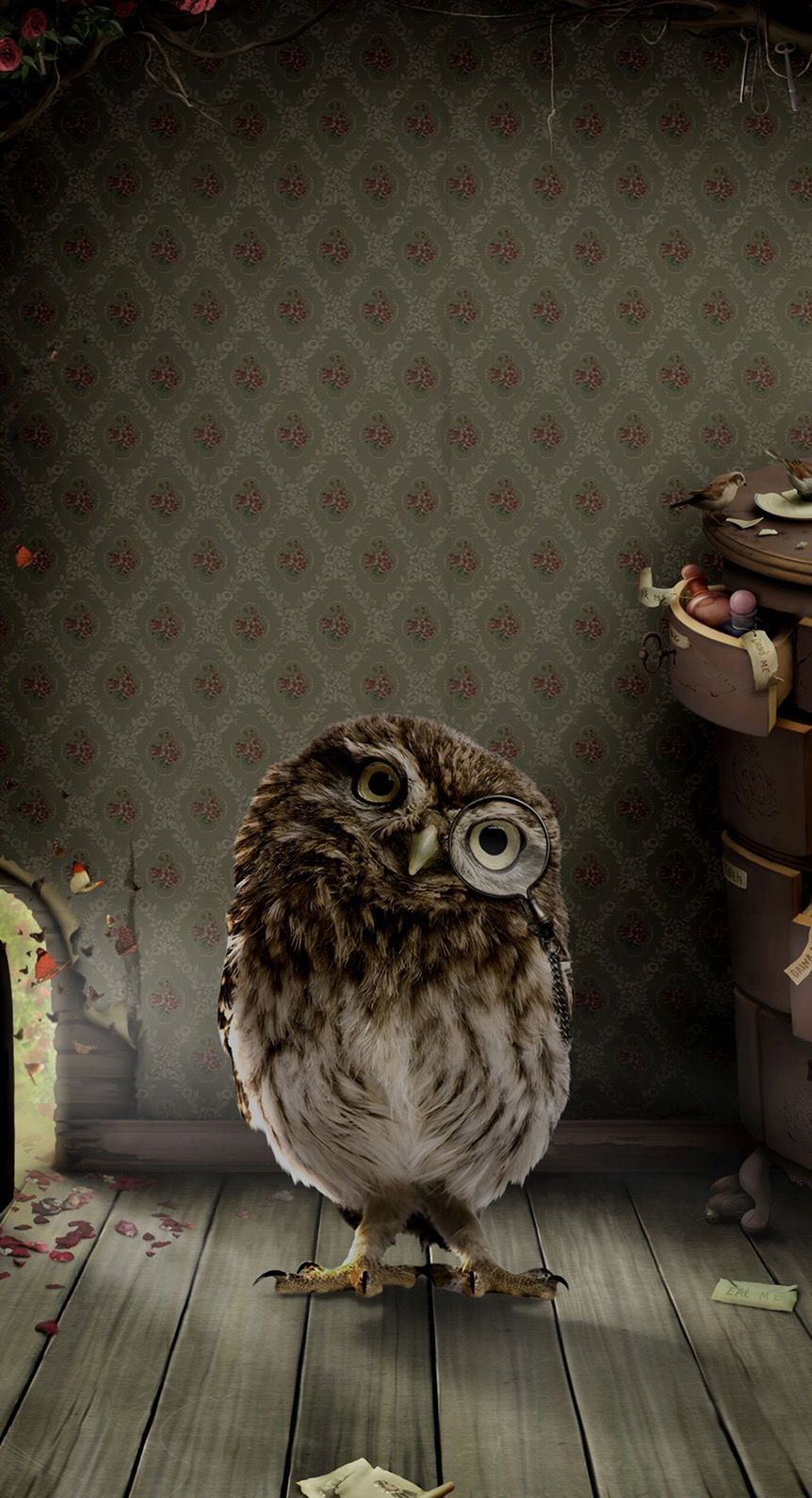 Apple. Owl wallpaper, Funny wallpaper, Owl
