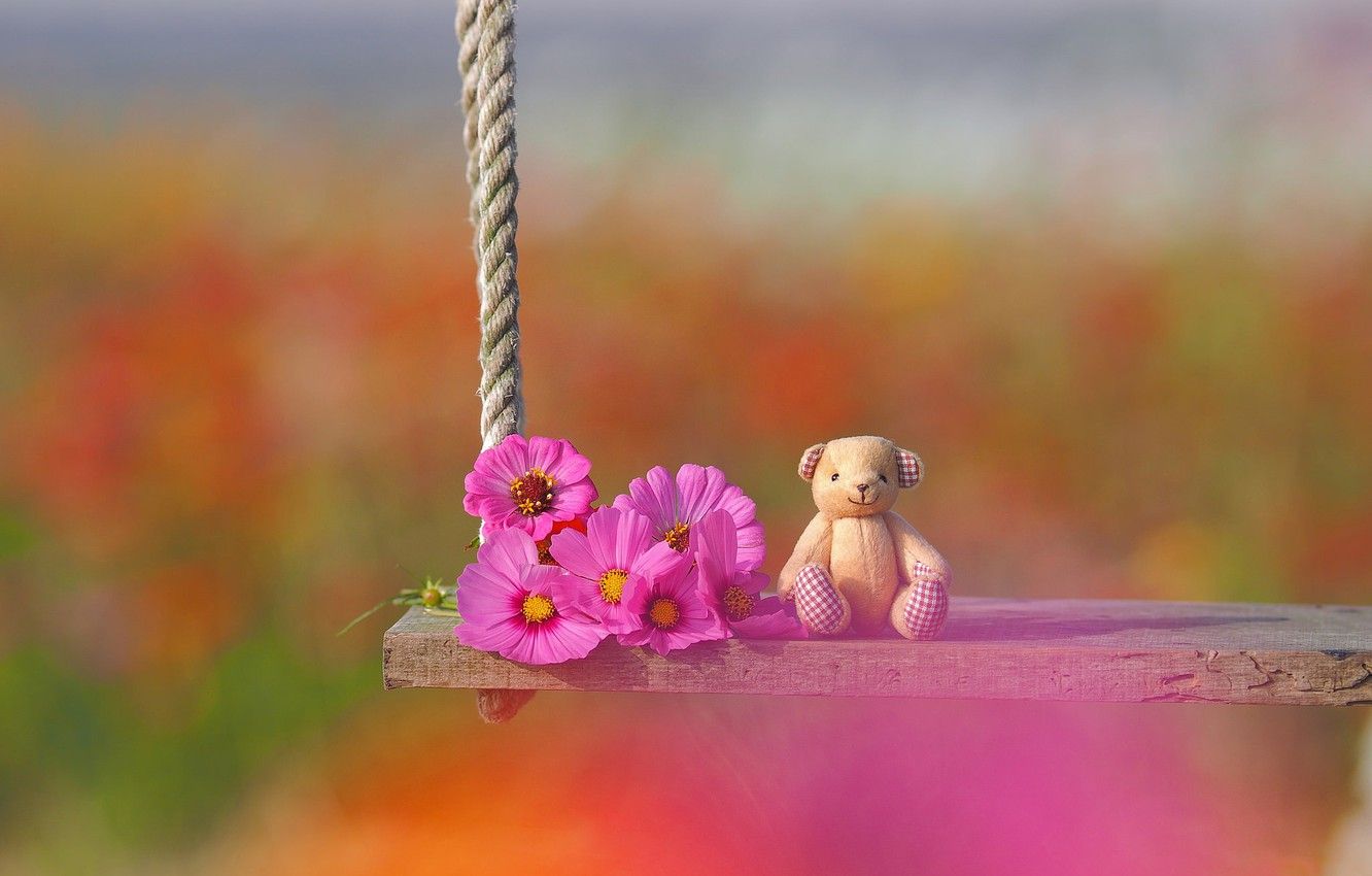Wallpaper flowers, swing, mood, toy, bear, bokeh, kosmeya, Teddy bear image for desktop, section настроения
