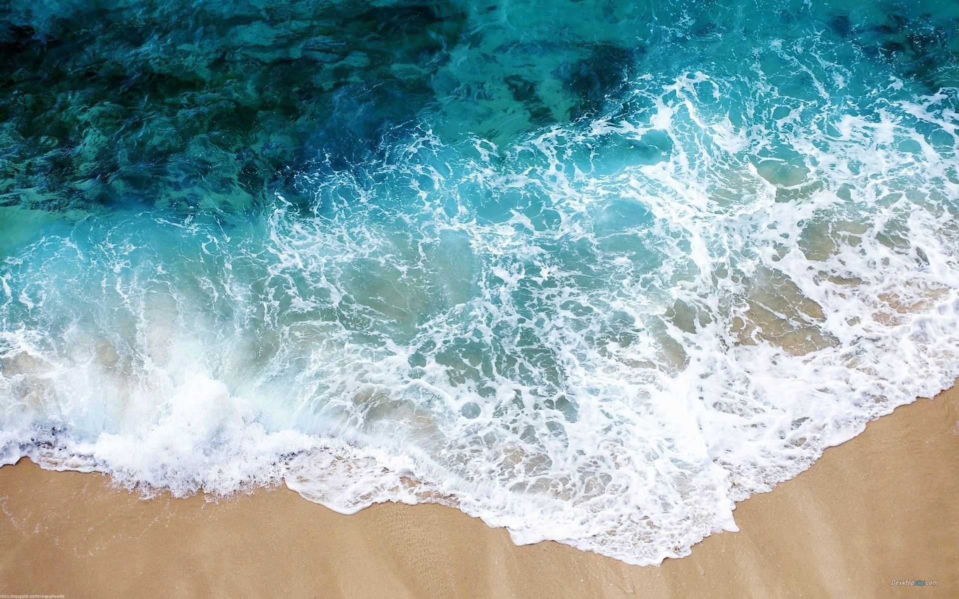 Summer Wallpaper Free Download