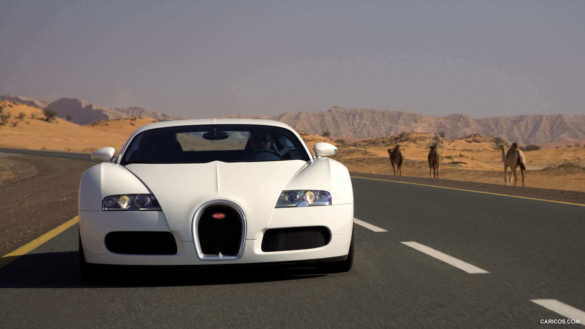 Bugatti Veyron Grand Sport White. HD Wallpaper