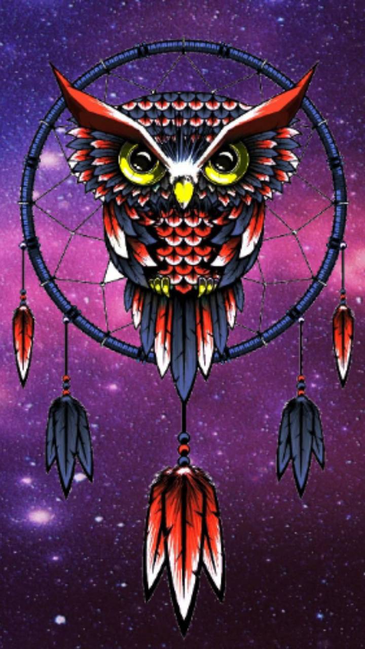 Galaxy owl wallpaper